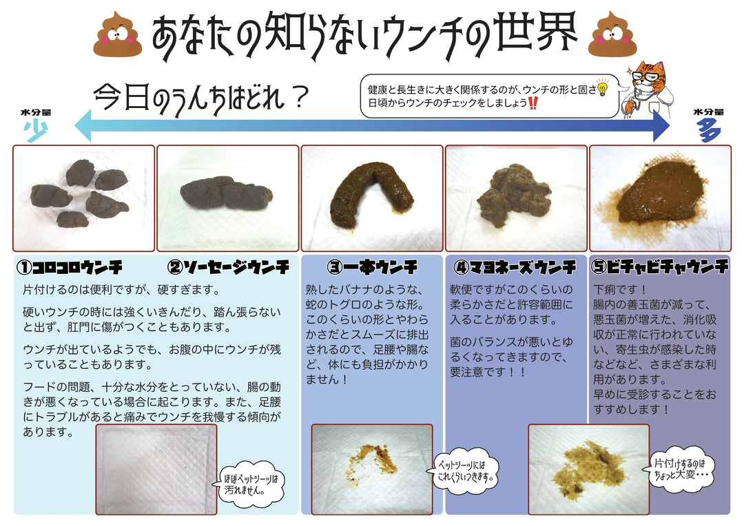 愛犬の健康を守る新習慣!うんちを見ればすぐわかる簡単診断法