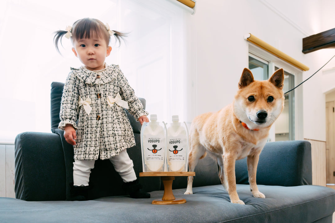 犬のストレスを解消!腸と脳が紡ぐ健康の新常識