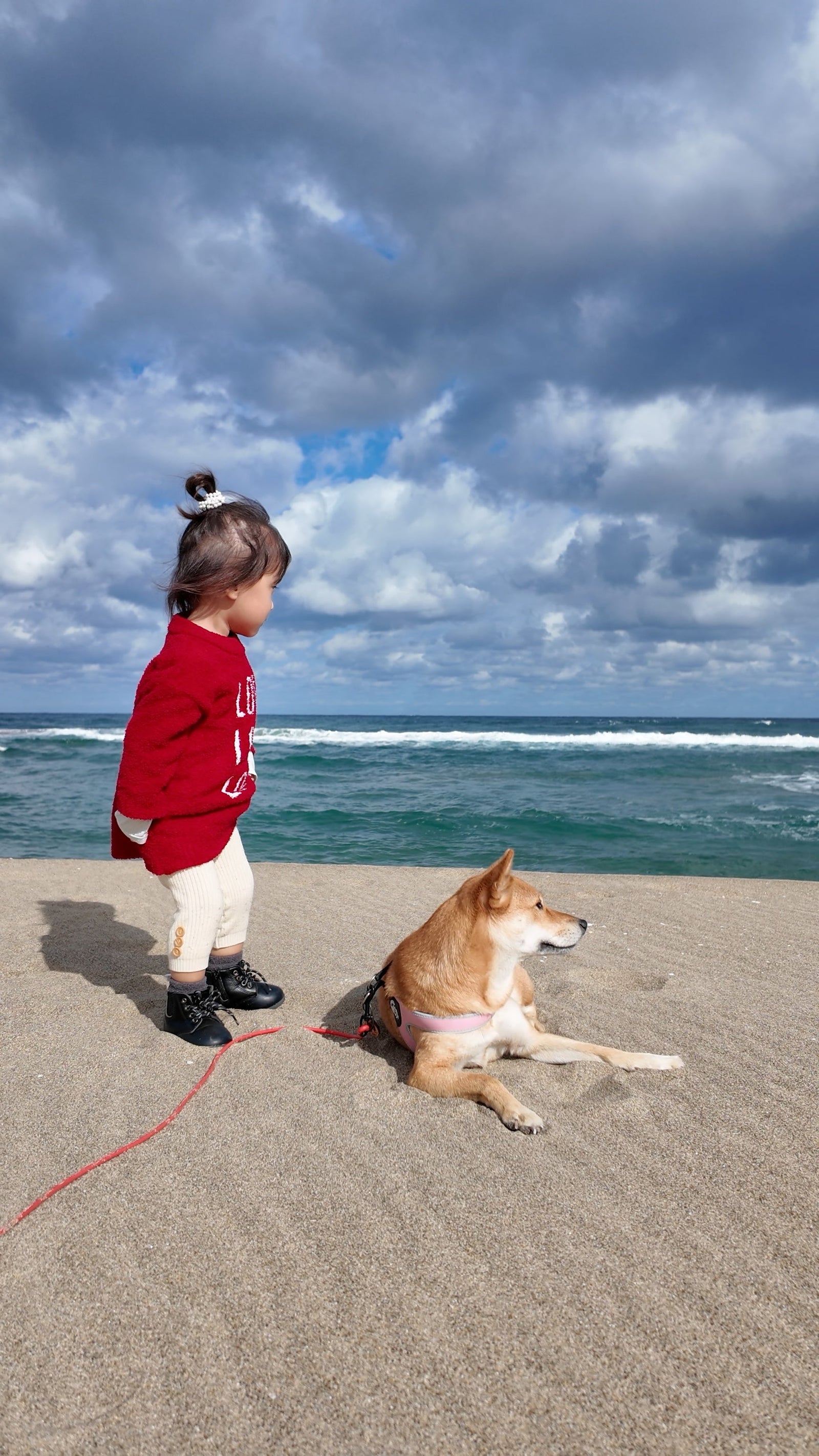 犬の幸せとはなんだろう
