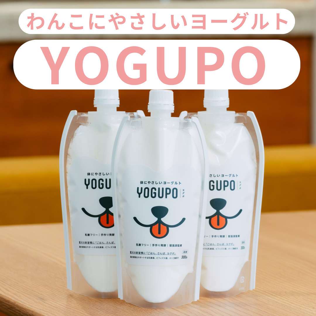 わんこにやさしいヨーグルト YOGUPO