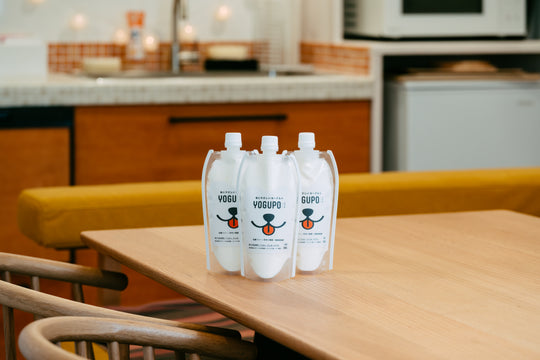 わんこにやさしいヨーグルト YOGUPO